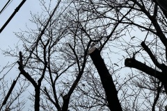 IMG_3178