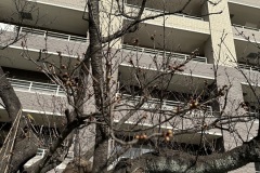 IMG_3355