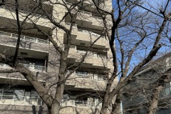 IMG_3360