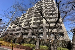 IMG_3503