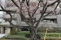 IMG_3559