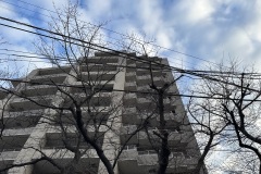 IMG_3585