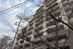 IMG_3586