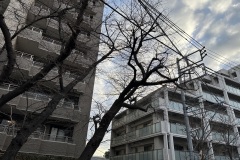 IMG_3587