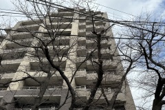 IMG_3642