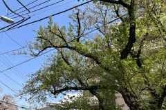 IMG_3841