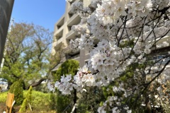IMG_3850
