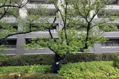 IMG_3866