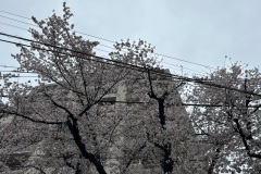 IMG_3869
