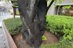 IMG_3880