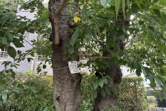 IMG_4572