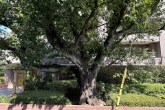 IMG_5507