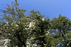 IMG_5524