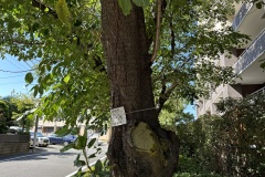 IMG_5538
