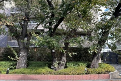 IMG_5885