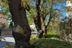 IMG_6027