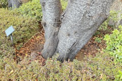 IMG_6282