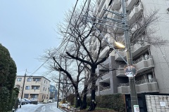 IMG_6510