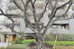 IMG_6527
