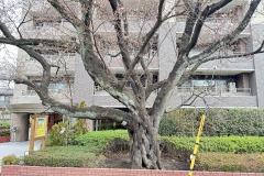 IMG_6576