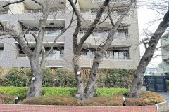 IMG_6590