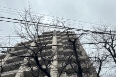 IMG_6663