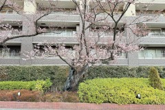 IMG_6686