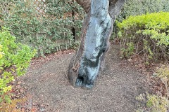 IMG_6688