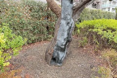 IMG_6749