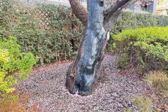 IMG_6874
