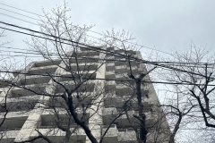 IMG_7040