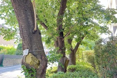 IMG_8159
