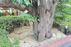 IMG_8283