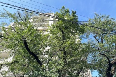 IMG_8577