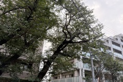 IMG_8773