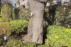 IMG_0503