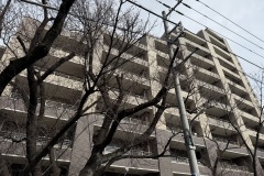 IMG_1085