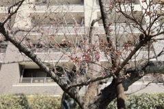IMG_1335