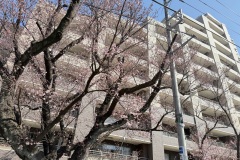 IMG_1367
