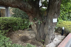 IMG_0045