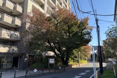 IMG_0504