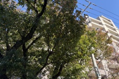 IMG_0508