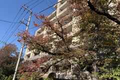 IMG_0519