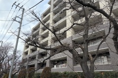 IMG_1290