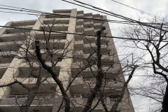 IMG_1456