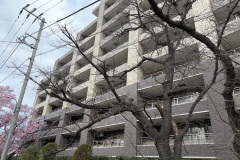 IMG_1457
