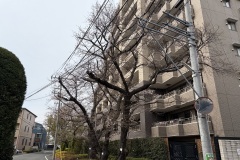 IMG_1622